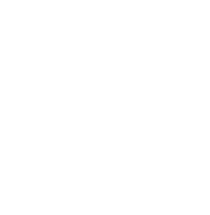 heart icon